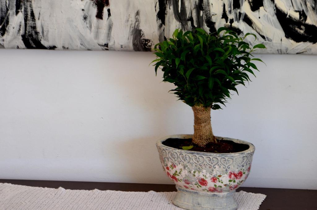 Apartments Prunus Dubrovnik Phòng bức ảnh